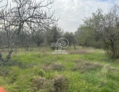 Baugrundstück mit Gebäude Brtonigla