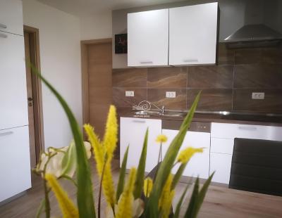 House with panoramic sea view in Medulin